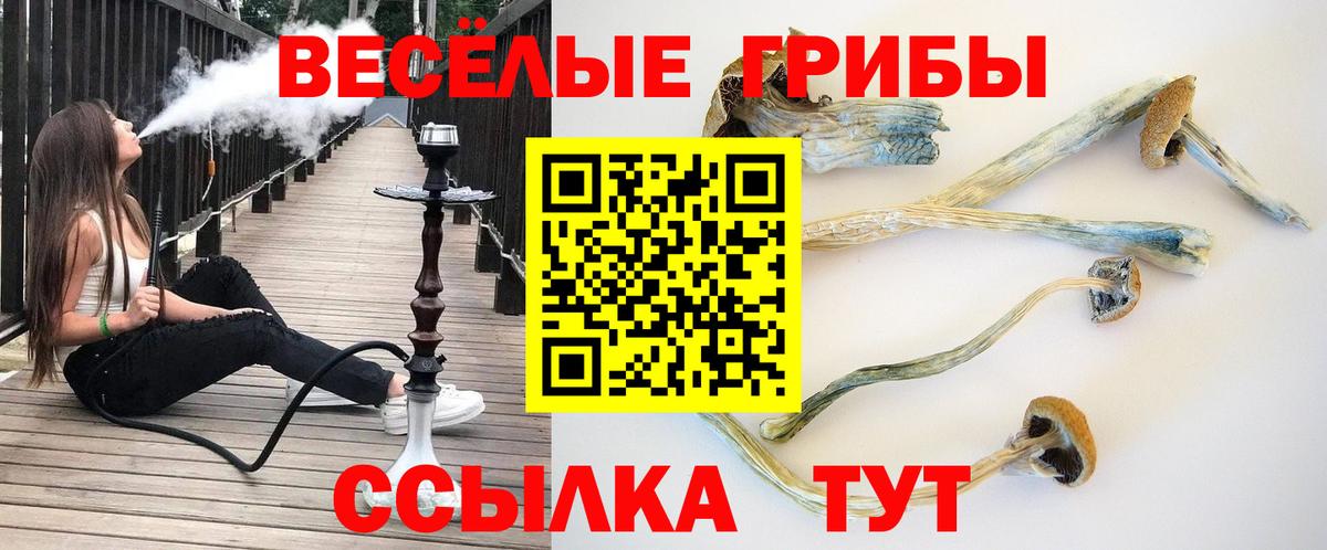 Псилоцибиновые грибы мухоморы  Галлюциногенные грибы GOLDEN TEACHER  Вход с VPN  закладки  Заволжье 